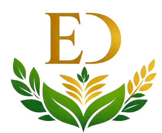EDSᴇᴄᴜʀᴇ Iɴᴅɪa LLP